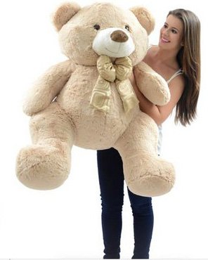 1263 Urso Guto - 1 Metro