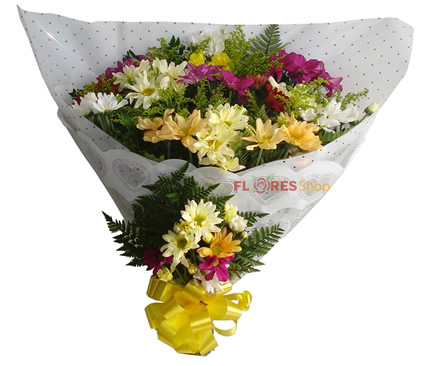 1856 Flores do Campo