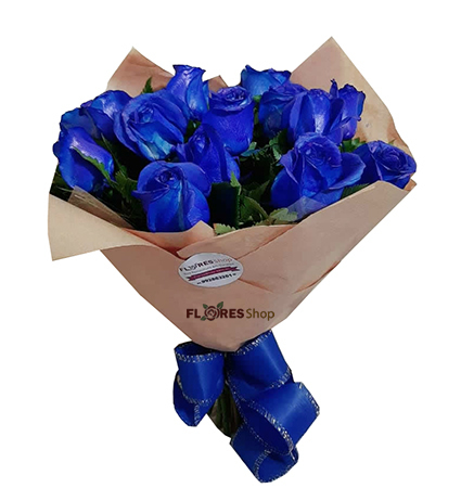 2648 Buquê rosa azul 