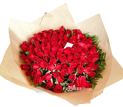 3280 Buquê gigante com 100 Rosas 