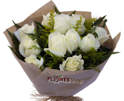 3309 Amor especial