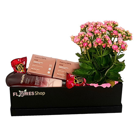 3763 Flores Cheirosas