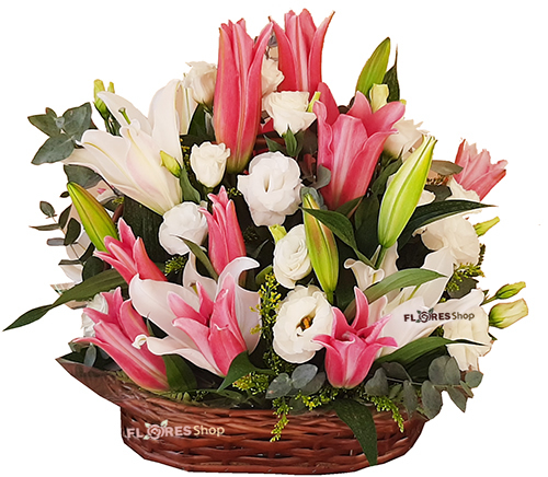 3766 Cesta com flores de Lírios