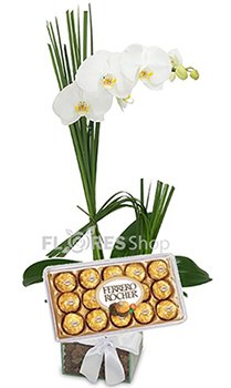 415 Amor de Orquidea com Ferrero