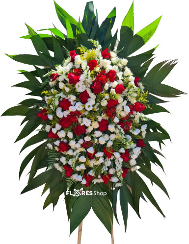 4656 Grande Homenagem