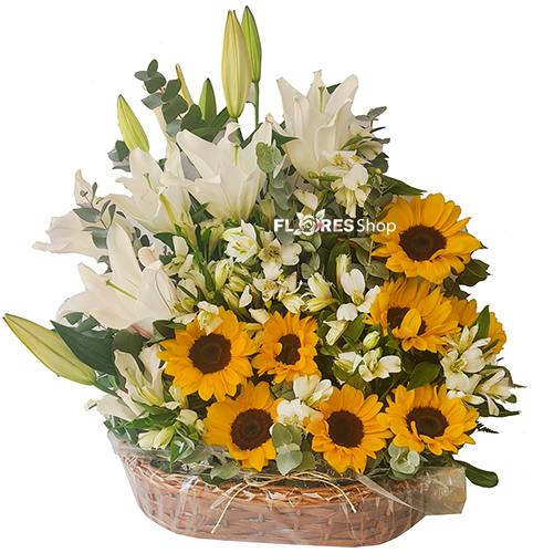 4850 Flores Esplendidas 