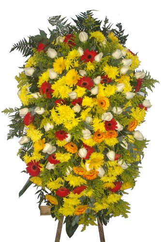 500 Coroa Big Primavera