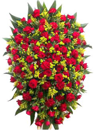 553 Coroa - Mar de Rosas 