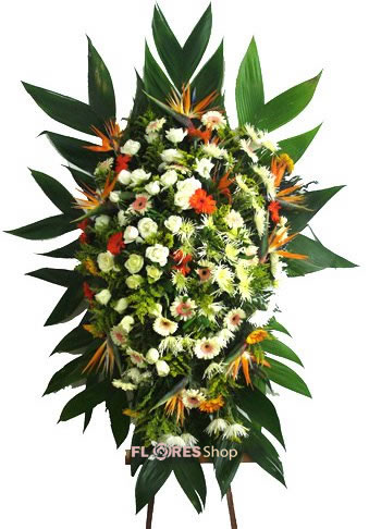554 Coroa Homenagem