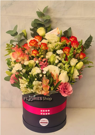 5540 Box Belas Flores Premium