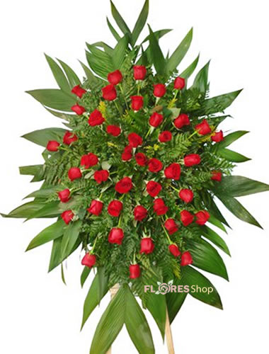 560  Coroa Pequena Só Rosas 