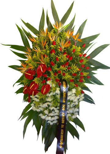 562 Coroa de Flores Alfa