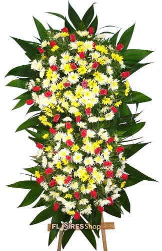 563 Coroa Luxuosa