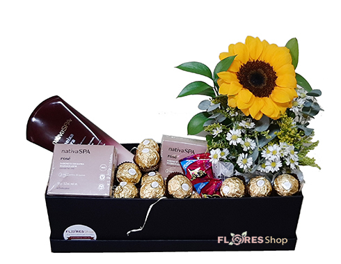 3846 Box Girassol e Nativa Spa