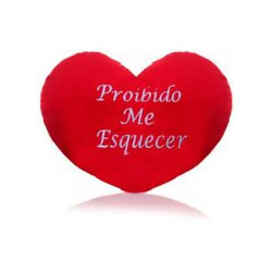 3899 ❤ Almofada 