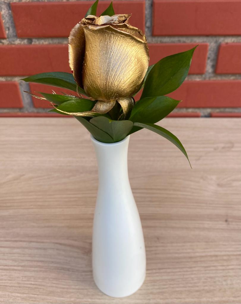 6795 Rosa Dourada 