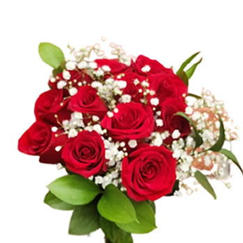 6635 Buquê simples 12 rosas vermelhas pq